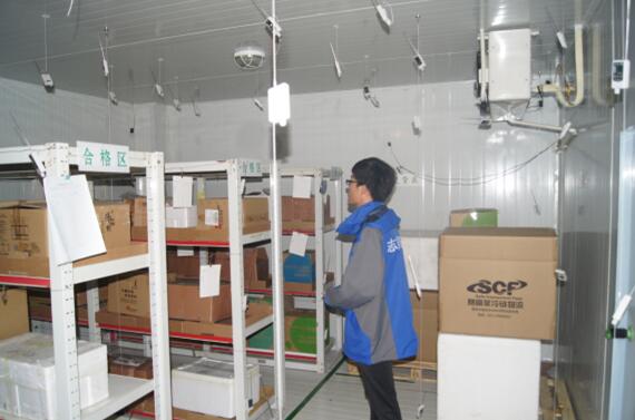 博物館溫濕度監(jiān)測 博物館溫濕度監(jiān)測