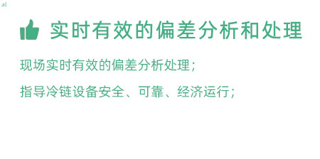 實(shí)時(shí)有效的偏差分析和處理：實(shí)時(shí)有效的偏差處理； 指導(dǎo)冷鏈設(shè)備安全、可靠、經(jīng)濟(jì)運(yùn)行；