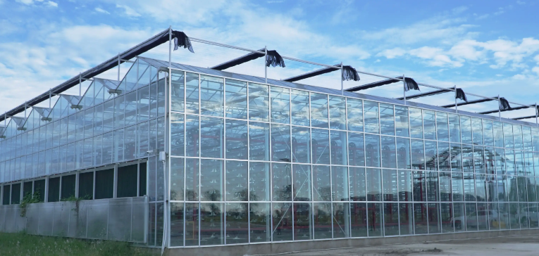 農(nóng)業(yè)大棚溫濕度監(jiān)測(cè)